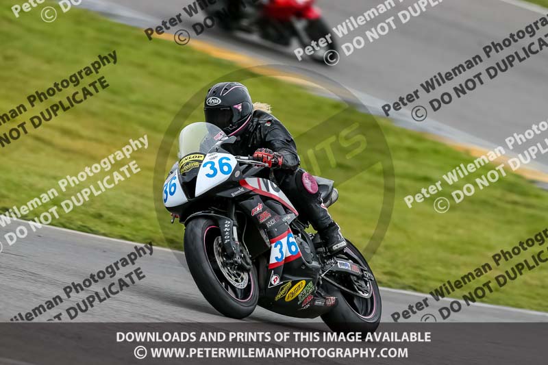 PJ Motorsport 2019;anglesey no limits trackday;anglesey photographs;anglesey trackday photographs;enduro digital images;event digital images;eventdigitalimages;no limits trackdays;peter wileman photography;racing digital images;trac mon;trackday digital images;trackday photos;ty croes